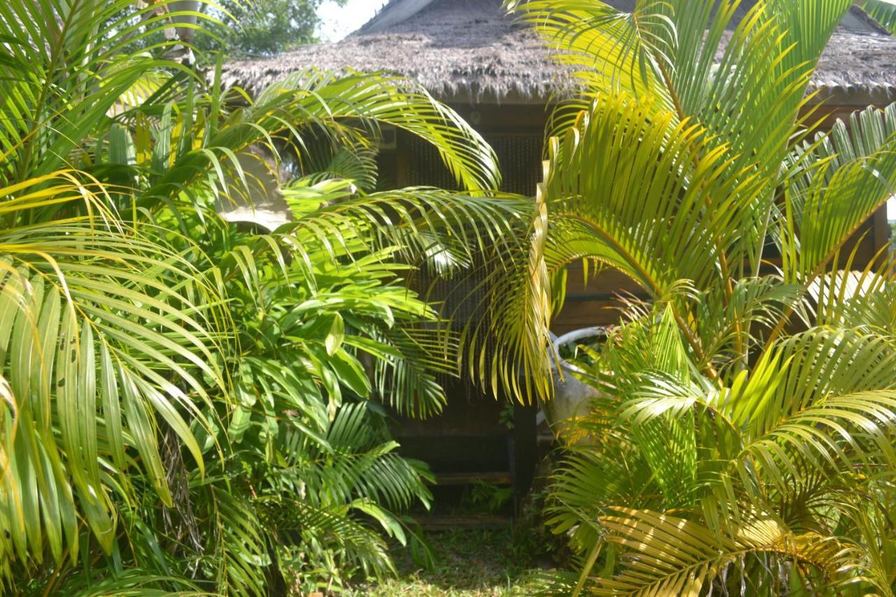 Otres Jungle Bungalows Hotel Sihanoukville Exterior foto